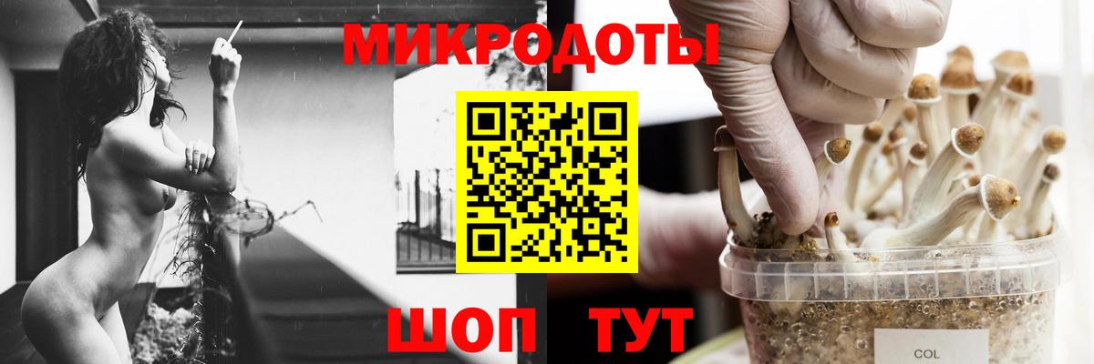 Майкоп  где купить наркоту  Вход с VPN  Псилоцибиновые грибы Magic Shrooms 